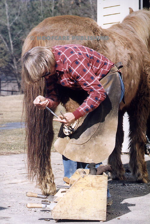 What are the symptoms of Cushing's disease in horses?